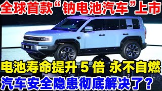 全球首款”钠离子电池汽车“正式上市，电池寿命提升5倍，还用不自燃，新能源汽车的安全隐患彻底解决了科技科学科普电池钠离子电池固态电池电动汽车 [upl. by Hayidah]