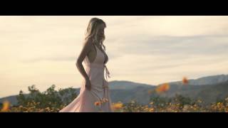 California Super Bloom of Anza Borrego and Temecula [upl. by Drannek515]