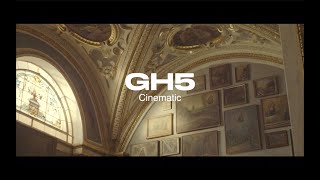 Panasonic LUMIX GH5 cinematic footage 4K [upl. by Donnie]