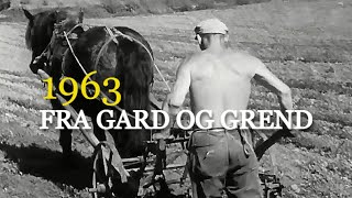 FRA gard og grend  Landbruk i Norge 1963 [upl. by Enilreug]