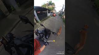 Kalye serye p1 🤣 vlognimike motovlog fyp shorts goodvibes dog cat [upl. by Carlyle407]