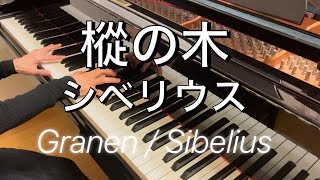 【ピアノ】樅の木モミの木 op755シベリウス 作曲 Granen op755 Sibelius [upl. by Aikas]