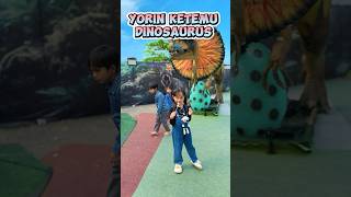 Yorin’s vlog  liat dinosaurus cute dinosaurus funny shorts [upl. by Latrell747]