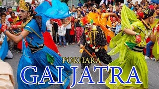 Pokhara GAI JATRA 2075  गाई जात्रा २०७५ [upl. by Cynthla]