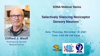 Selectively Silencing Nociceptor Sensory Neurons│Prof Clifford J Woolf [upl. by Obel]