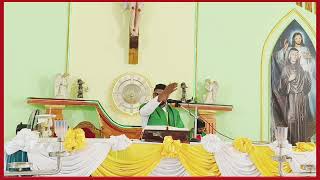 29th Ordinary Sunday Homily Rev Fr Rajendra MYesupuram [upl. by Arabeila]