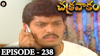 Episode 238  Chakravakam Telugu Daily Serial [upl. by Maxentia]