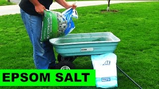 Using Milorganite to Apply Epsom Salt to your lawn [upl. by Goldy]