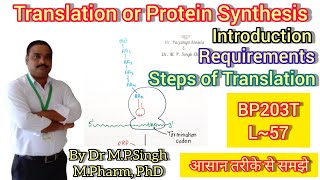 Translation or Protein Synthesis  Introduction  Requirement  Steps  Biochemistry  BP203T  L57 [upl. by Zerla]