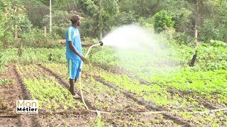 CEST MON MÉTIER  A la découverte du métier de MARAICHER – EDEN TV [upl. by Xavier]