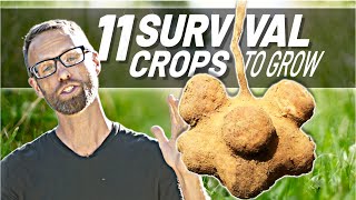 11 Crops to Grow To Survive Difficult Times [upl. by Chantal429]