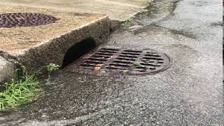 Stormwater catch basin during rain [upl. by Llenrahs]