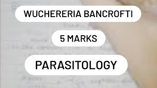 WUCHERERIA BANCROFTI  LC  PATHOGENESIS  LAB DIAGNOSIS  5 marks [upl. by Selia]