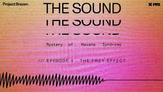 The Frey Effect  Episode 4 THE SOUND Mystery of Havana Syndrome Podcast [upl. by Revilo387]