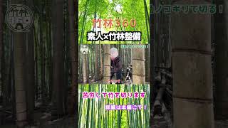 農業 竹林整備 アウトドア 竹林 ショート動画 [upl. by Gurtner]