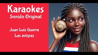 Juan Luis Guerra Las avispas Karaoke [upl. by Irovi]