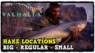 Assassins Creed Valhalla Hake Fish Locations Big  Regular  Small [upl. by Topliffe]