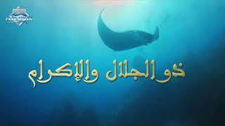 X2Download app Hisham Abbas Asmaa Allah Al Hosna Lyrics هشام عباس أسماء الله الحسنى كلمات [upl. by Erdei]