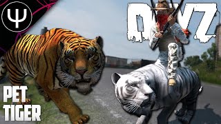 You Can Now Have A Pet TIGER In DayZ — DayZ [upl. by Bickart830]