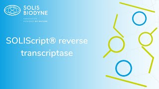 SOLIScript® reverse transcriptase [upl. by Hilarius]