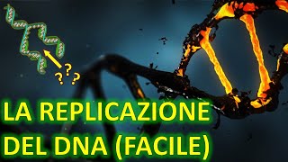 LA REPLICAZIONE DEL DNA FACILE  Come viene replicato il nostro DNA  GENETICA FACILE  n°5 [upl. by Litsyrk220]