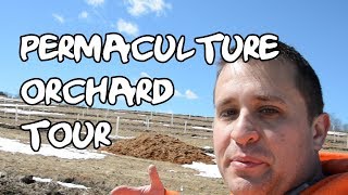 Touring a Permaculture Orchard in Vermont [upl. by Tessa298]