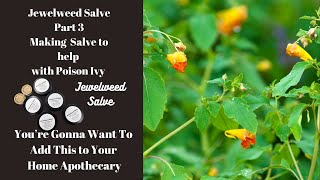 Making Jewelweed Salve Part 3 of Jewelweed Series [upl. by Ardnasak654]