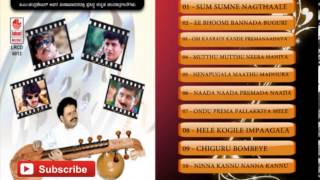 Veena Kannada Instrumental Music  Sum Sumne Nagthaale  Kannada Karaoke Songs [upl. by Aremmat]