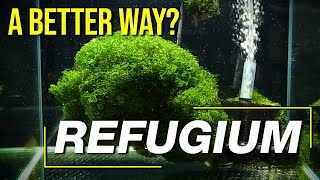 Today’s Refugium Techniques 10 Questions to Guarantee a Controllable Clean High Performance Fuge [upl. by Elodea]