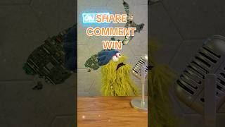 FRANKIE LOTTO funny nz sesamestreet frankiekiwi win [upl. by Aharon]