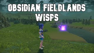 All Obsidian Fieldlands Wisp Locations  Pokemon Legends Arceus PLA [upl. by Undis]