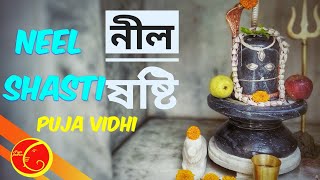 Neel shashti puja vidhi easy amp simple  Saj of Mahadev Neel shashti puja mantra 2021  nil shasti [upl. by Aynor322]