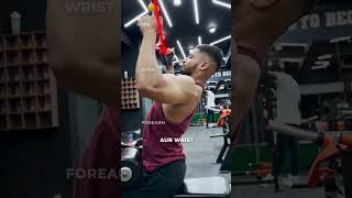 Lat Pulldown Mistakes KILLING BACK GAINS [upl. by Harrad]