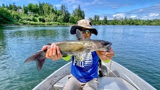 Willamette River Catfish Fishing [upl. by Ardme]