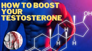 How To Boost Your Testosterone [upl. by Blood728]