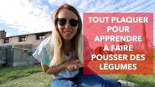 TOUT PLAQUER POUR APPRENDRE À FAIRE POUSSER DES LÉGUMES [upl. by Lyndsie]