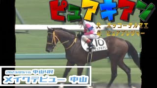 20230916【パドック返し馬つき】中山4R メイクデビュー中山 ☆ピュアキアン ホッコータルマエ ＃レースは12分ころから [upl. by Ysnap]