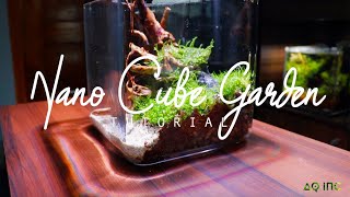 Nano Cube Garden Tutorial Terrarium [upl. by Jeconiah]