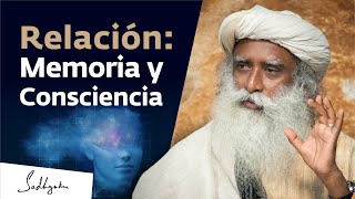 Memoria consciencia y coma Charla Completa Sadhguru en la Escuela de Medicina de Harvard [upl. by Herm35]