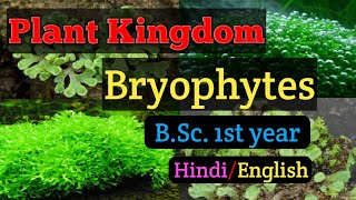 Bsc first year Botany Paper second General Characters of Bryophytes MGKVP Bsc 1st year Botany [upl. by Lerred]