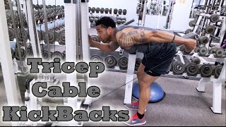 Tricep Cable Kickbacks  Fitness Kensho [upl. by Litch]