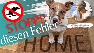 Darum wird dein Hund nicht stubenrein [upl. by Omle245]