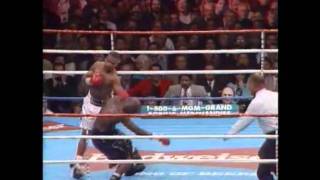 Roy Jones Jr vs Bernard Hopkins 1 amp James Toney Highlights [upl. by Anilam]