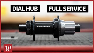 Wheelworks Dial Hub Full Service [upl. by Ambert309]