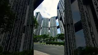 PINNACLE  DUXTON A public HDB with 50th floor and skybridge [upl. by Waers]