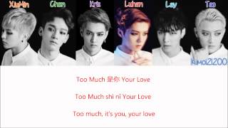 EXOM  Overdose 上瘾 ChinesePinYinEnglish Color Color amp Picture Coded HD [upl. by Aristotle]