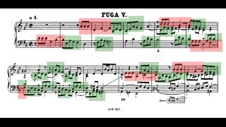 Amazing Counterpoint Analysis of D Major Fugue from Bachs WellTempered Clavier Book II [upl. by Aropizt]