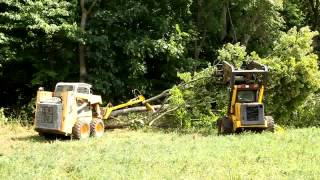 Trimming trees with my home made pole saw [upl. by Hauhsoj]