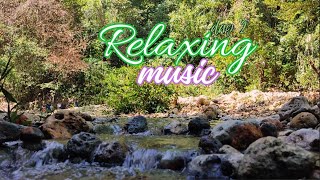 Gentle Piano Music amp Water Sounds  Calm Your Mind and MeditateRelaxingsoft music 41 [upl. by Pearce]