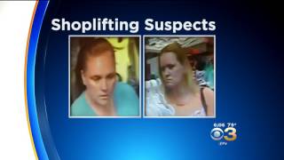 Shoplifting Suspects Lead Delaware State Police On Chase [upl. by Suinotna]